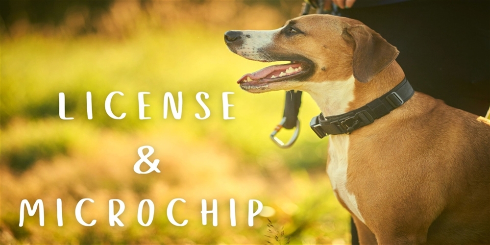 license-microchip