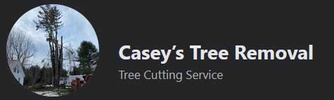 Casey's Tree Removal